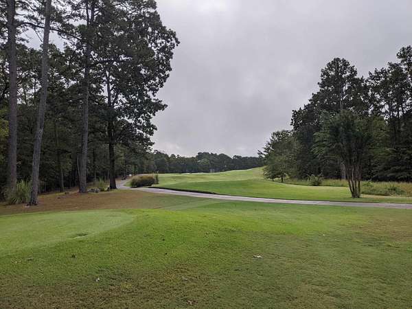 0.65 Acres of Residential Land for Sale in Hot Springs Village, Arkansas