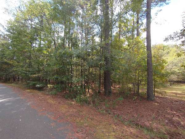 0.43 Acres of Residential Land for Sale in Hot Springs Village, Arkansas