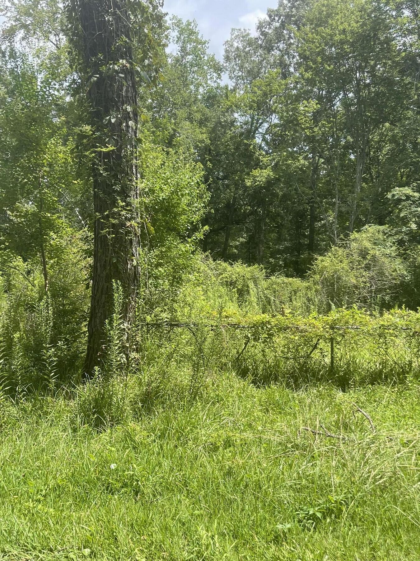 1 Acre of Residential Land for Sale in Goose Creek, South Carolina