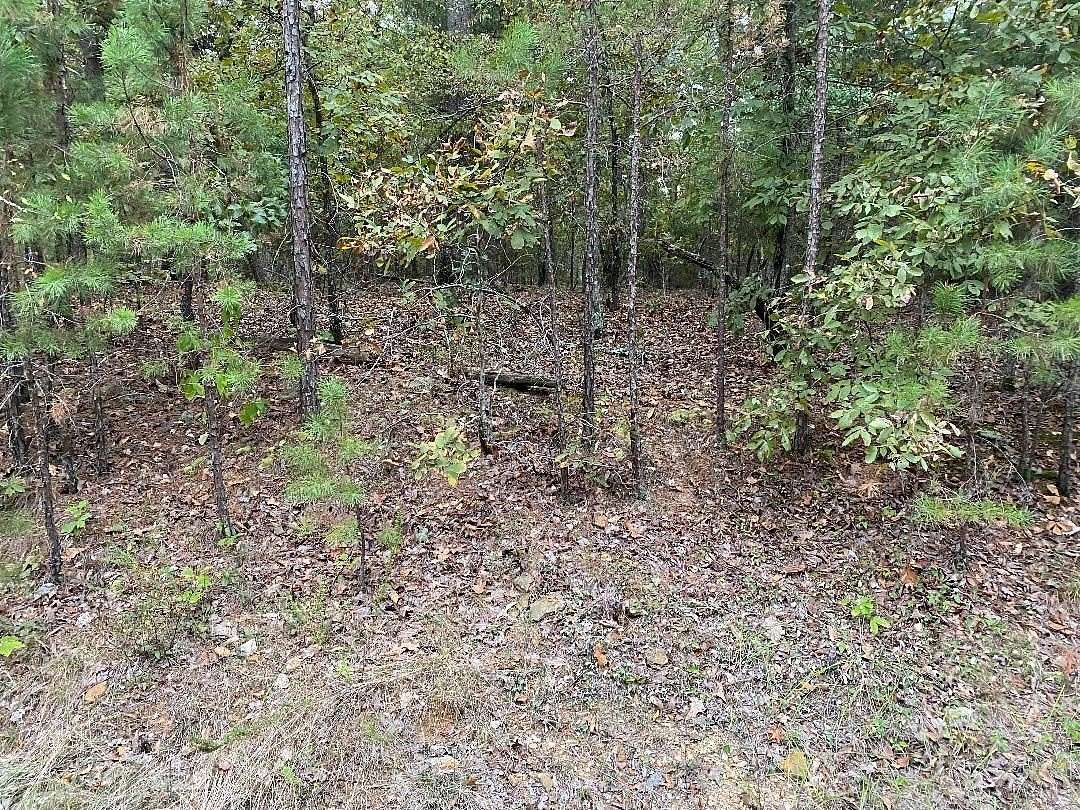 0.44 Acres of Residential Land for Sale in Hot Springs Village, Arkansas