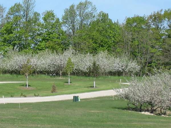 0.25 Acres of Residential Land for Sale in Egg Harbor, Wisconsin