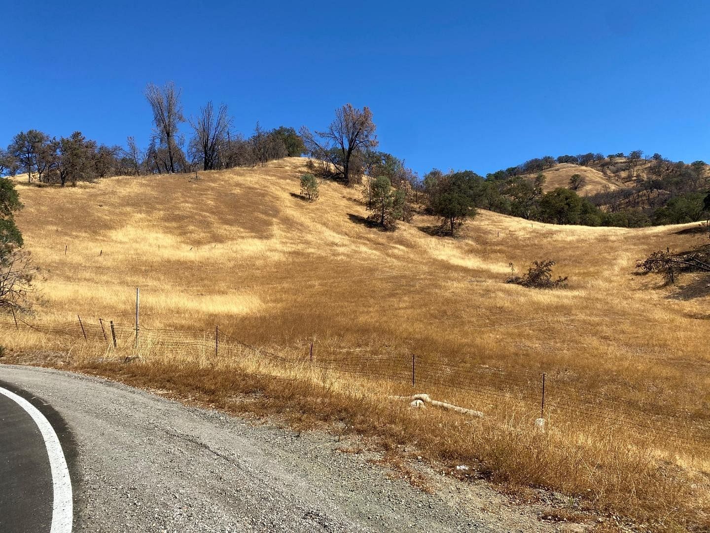 80 Acres of Agricultural Land for Sale in San Jose, California