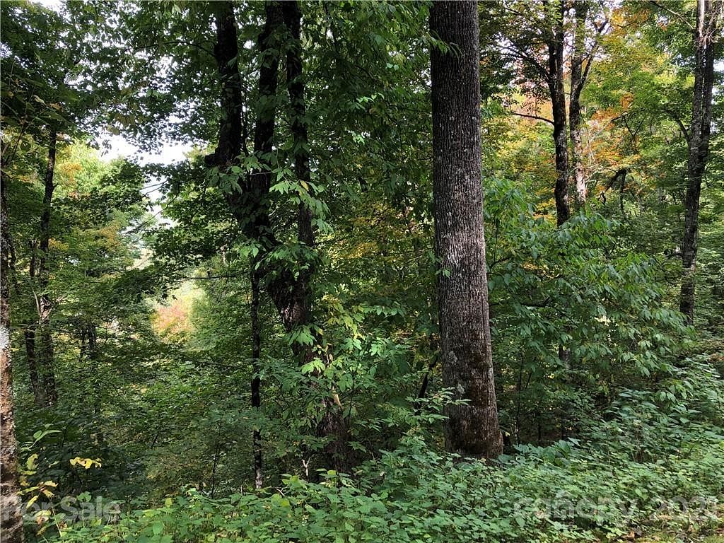 2.5 Acres of Residential Land for Sale in Maggie Valley, North Carolina