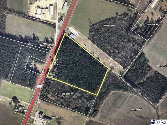 14.67 Acres of Commercial Land for Sale in Dillon, South Carolina