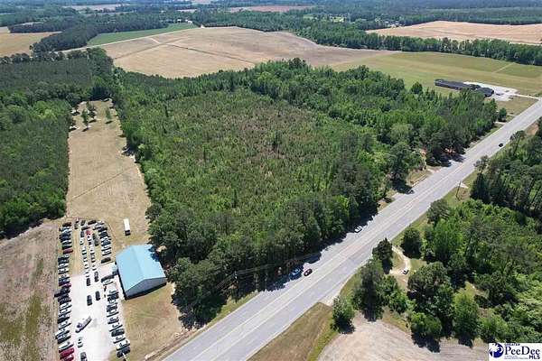 14.7 Acres of Land for Sale in Dillon, South Carolina