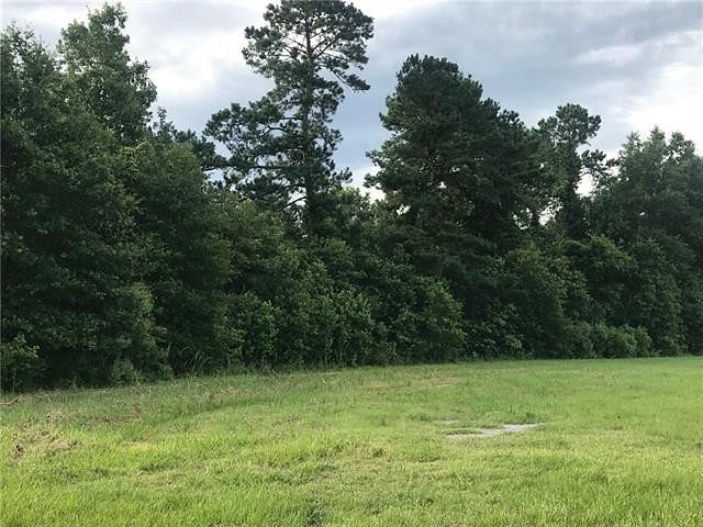 29 Acres of Land for Sale in Kinder, Louisiana