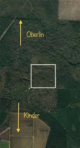 40 Acres of Land for Sale in Kinder, Louisiana