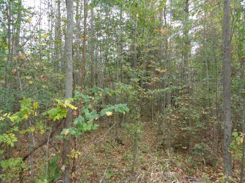 26.4 Acres of Recreational Land for Sale in Suring, Wisconsin