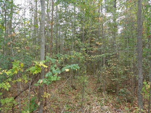 26.4 Acres of Recreational Land for Sale in Suring, Wisconsin