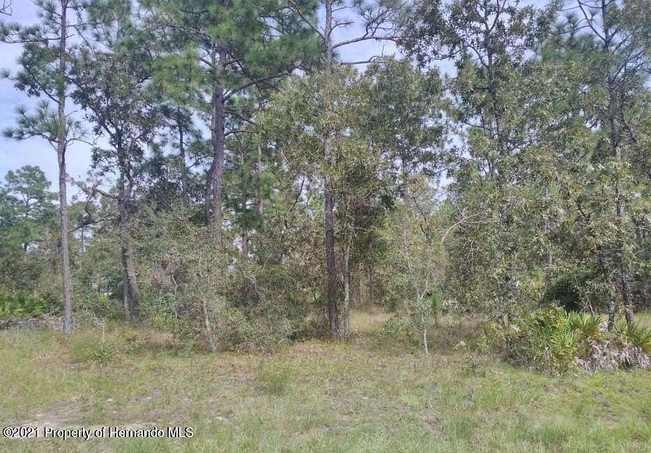0.46 Acres of Residential Land for Sale in Weeki Wachee, Florida