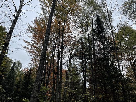 10.2 Acres of Land for Sale in Kalkaska, Michigan