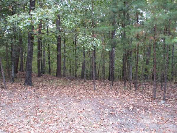 0.33 Acres of Land for Sale in Hot Springs Village, Arkansas