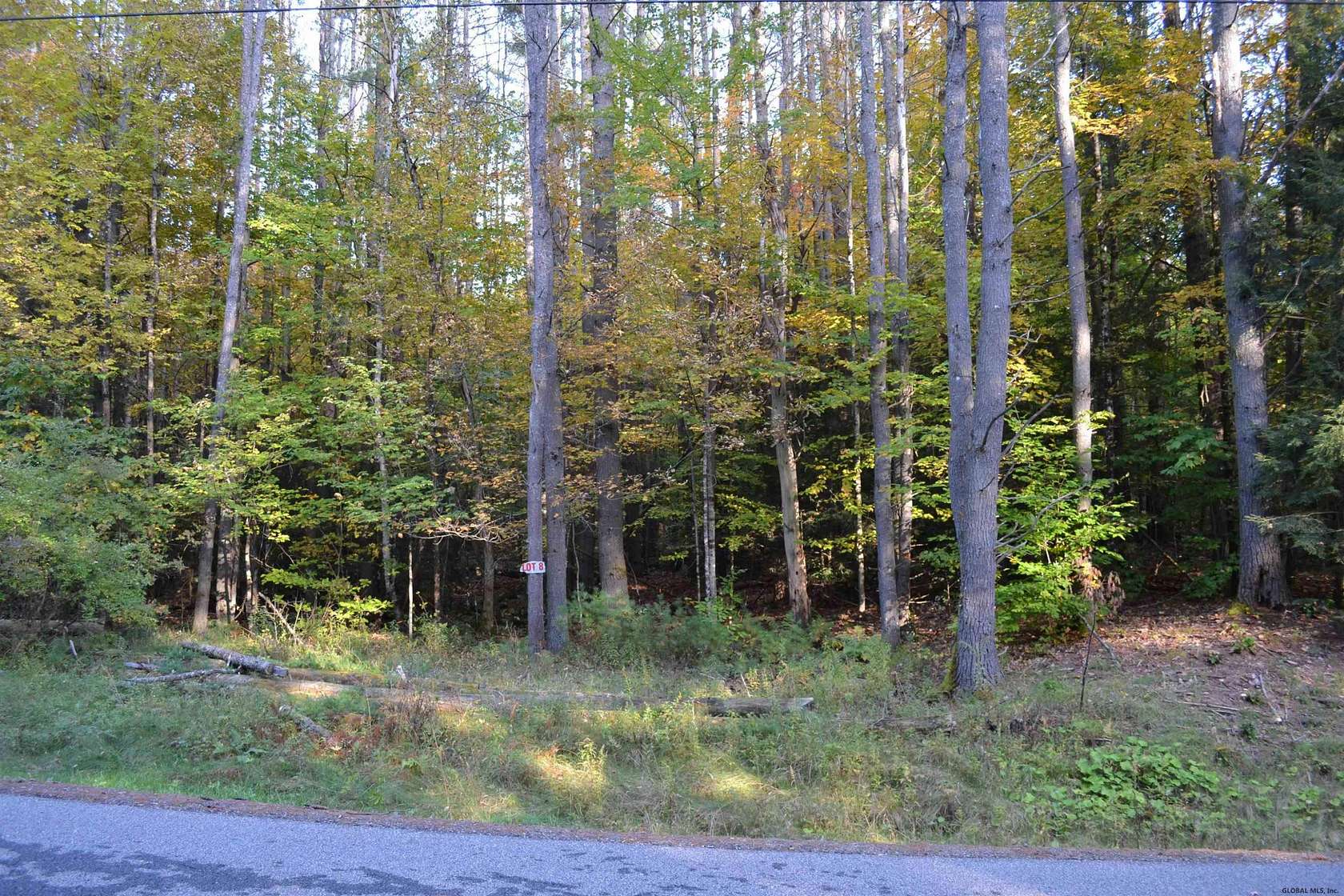 3.2 Acres of Mixed-Use Land for Sale in Bolton Landing, New York