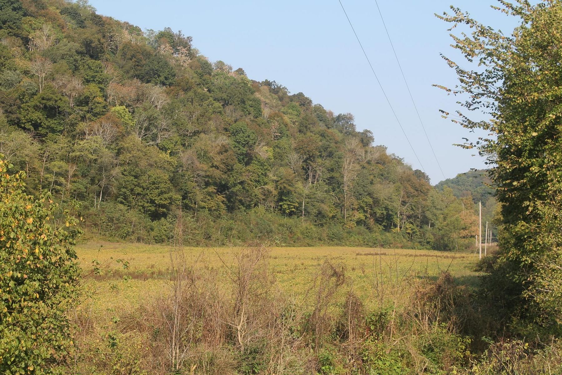 Land For Sale Red Boiling Springs Tn