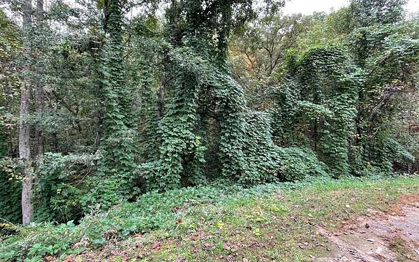 1.66 Acres of Land for Sale in Young Harris, Georgia