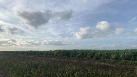 320 Acres of Agricultural Land for Sale in South Bay, Florida