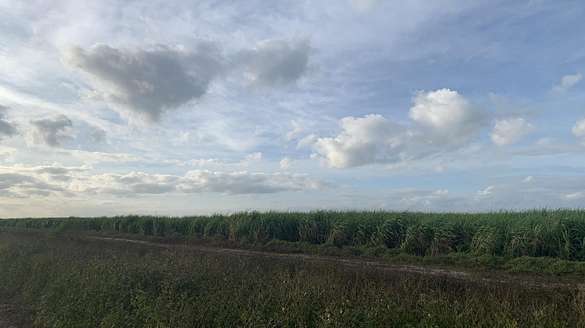 320 Acres of Agricultural Land for Sale in South Bay, Florida