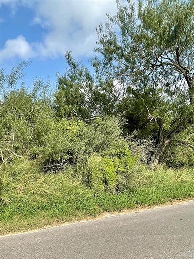 0.92 Acres of Residential Land for Sale in Progreso Lakes, Texas