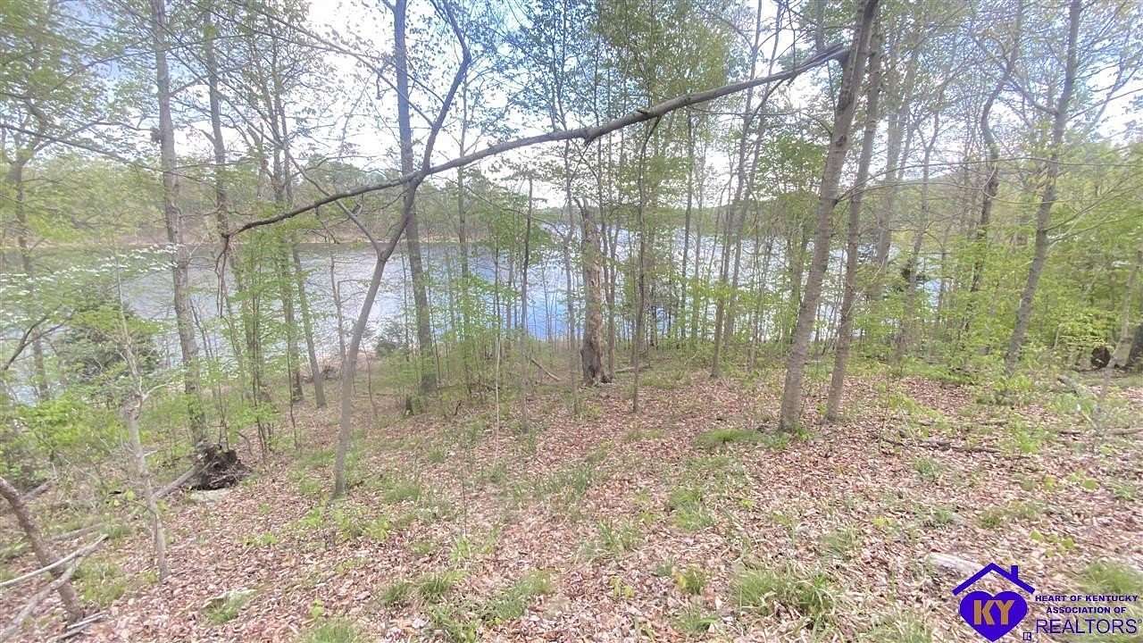 81.7 Acres of Recreational & Residential Land for Sale in Falls of Rough, Kentucky