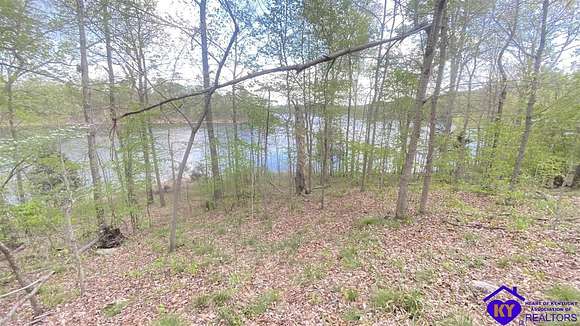 81.7 Acres of Agricultural Land for Sale in Falls of Rough, Kentucky