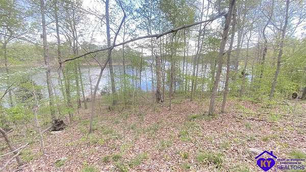 81.7 Acres of Recreational & Residential Land for Sale in Falls of Rough, Kentucky