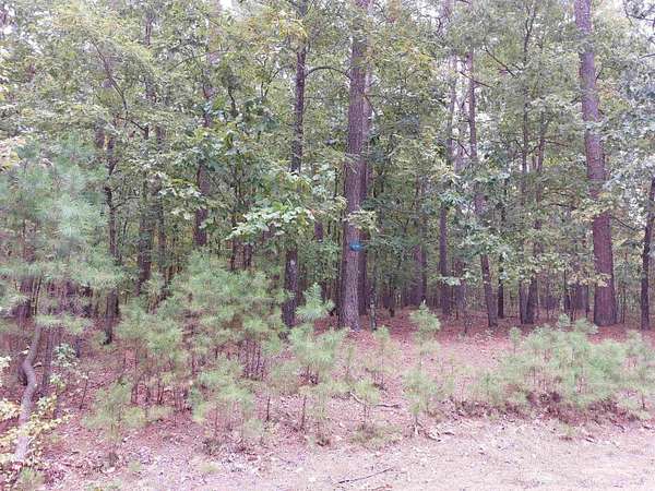 0.25 Acres of Residential Land for Sale in Hot Springs Village, Arkansas