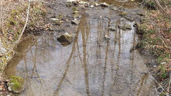 34.8 Acres of Land for Sale in Tompkinsville, Kentucky