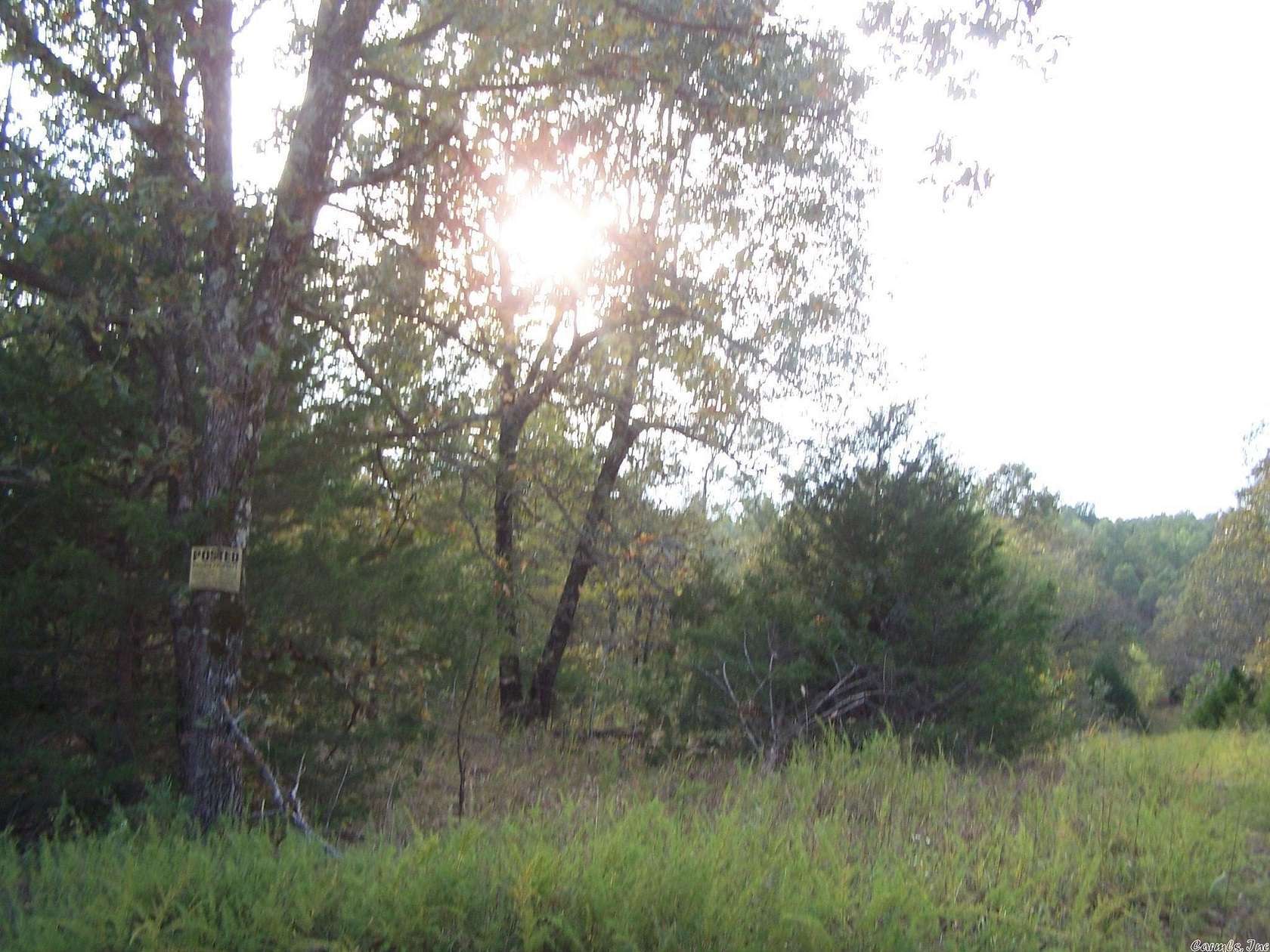 110 Acres of Recreational Land for Sale in Hardy, Arkansas