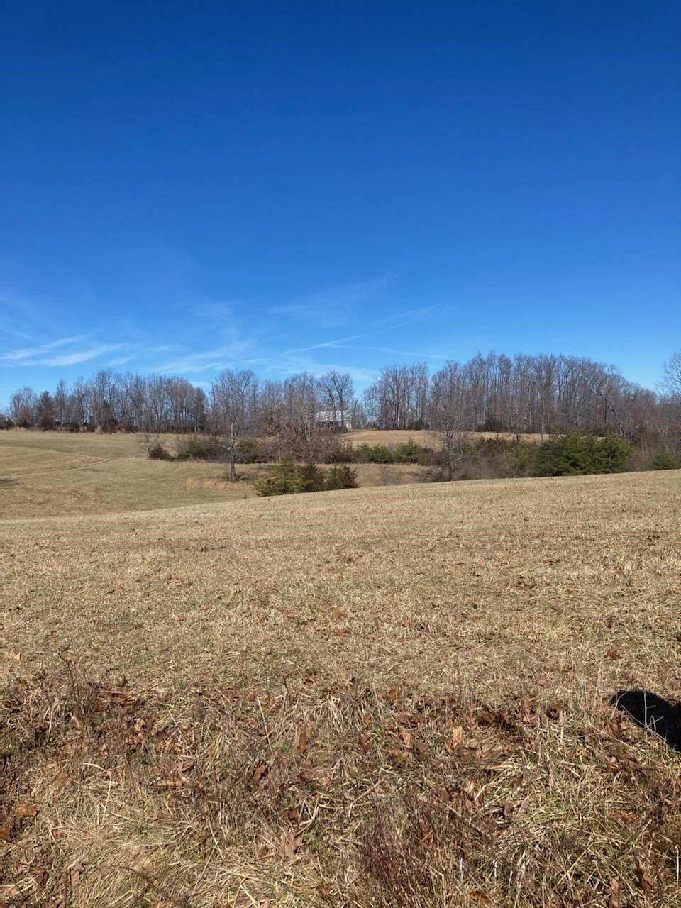 4.3 Acres of Land for Sale in Verona, Virginia