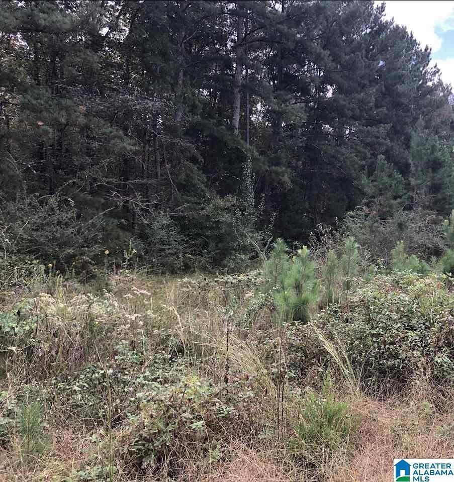 0.55 Acres of Residential Land for Sale in Lincoln, Alabama