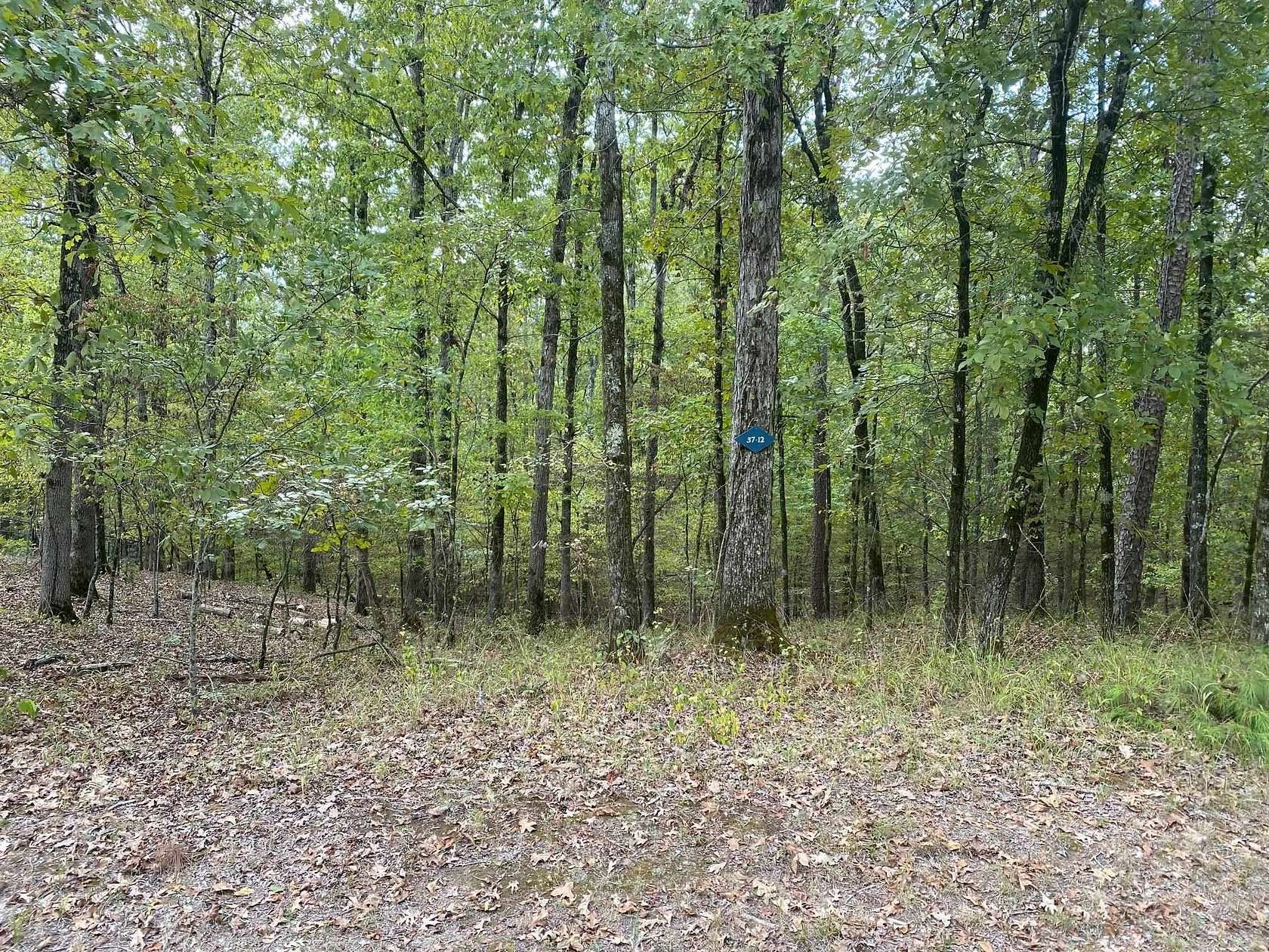 0.44 Acres of Land for Sale in Hot Springs Village, Arkansas