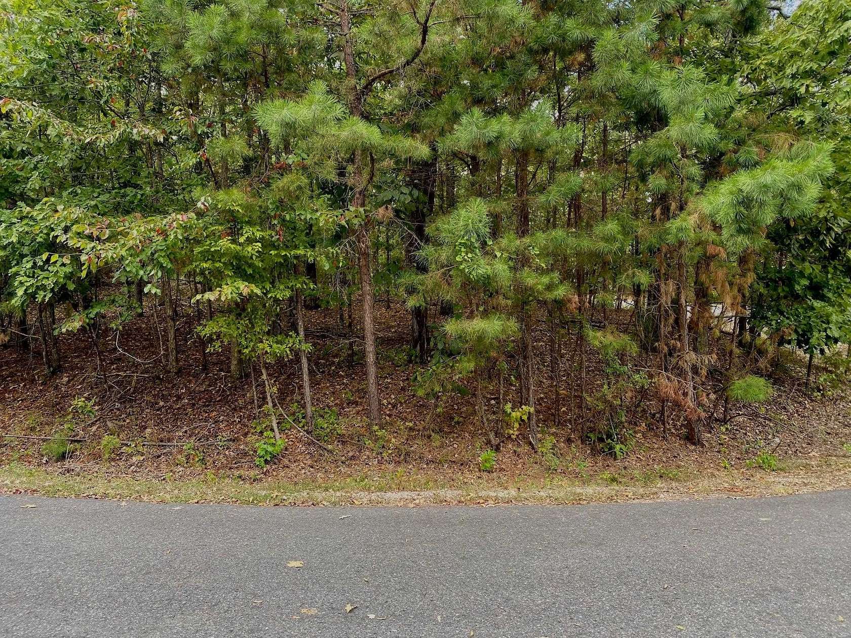 0.38 Acres of Residential Land for Sale in Hot Springs Village, Arkansas