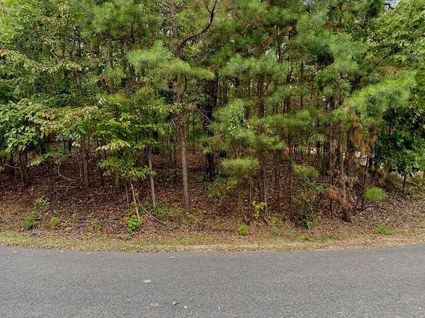 0.38 Acres of Residential Land for Sale in Hot Springs Village, Arkansas
