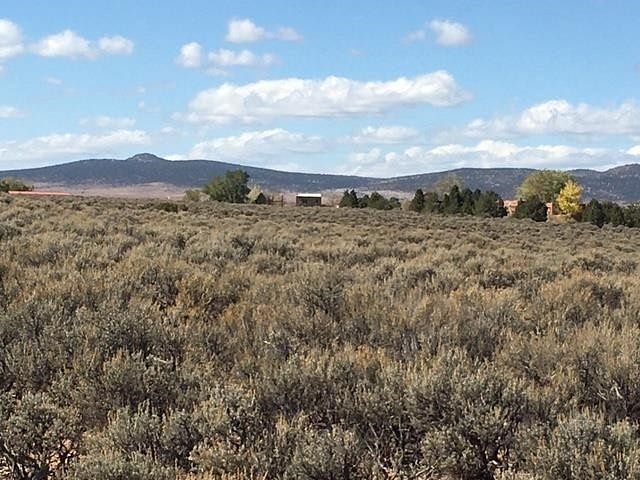 8.5 Acres of Agricultural Land for Sale in Arroyo Hondo, New Mexico