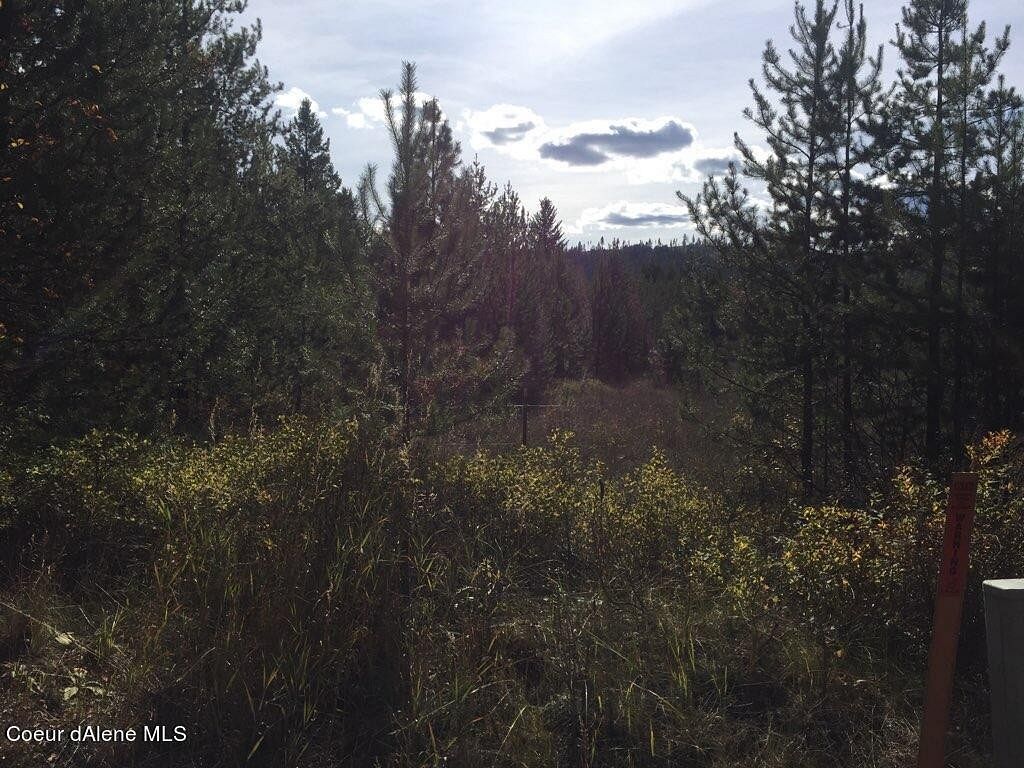 6 Acres of Residential Land for Sale in Blanchard, Idaho