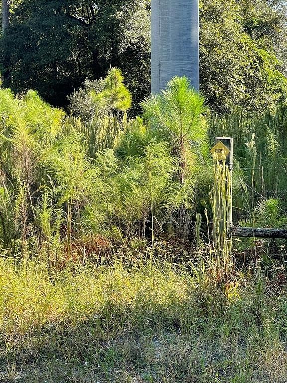50 Acres of Land for Sale in Deltona, Florida