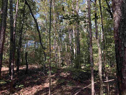3.5 Acres of Residential Land for Sale in Molena, Georgia