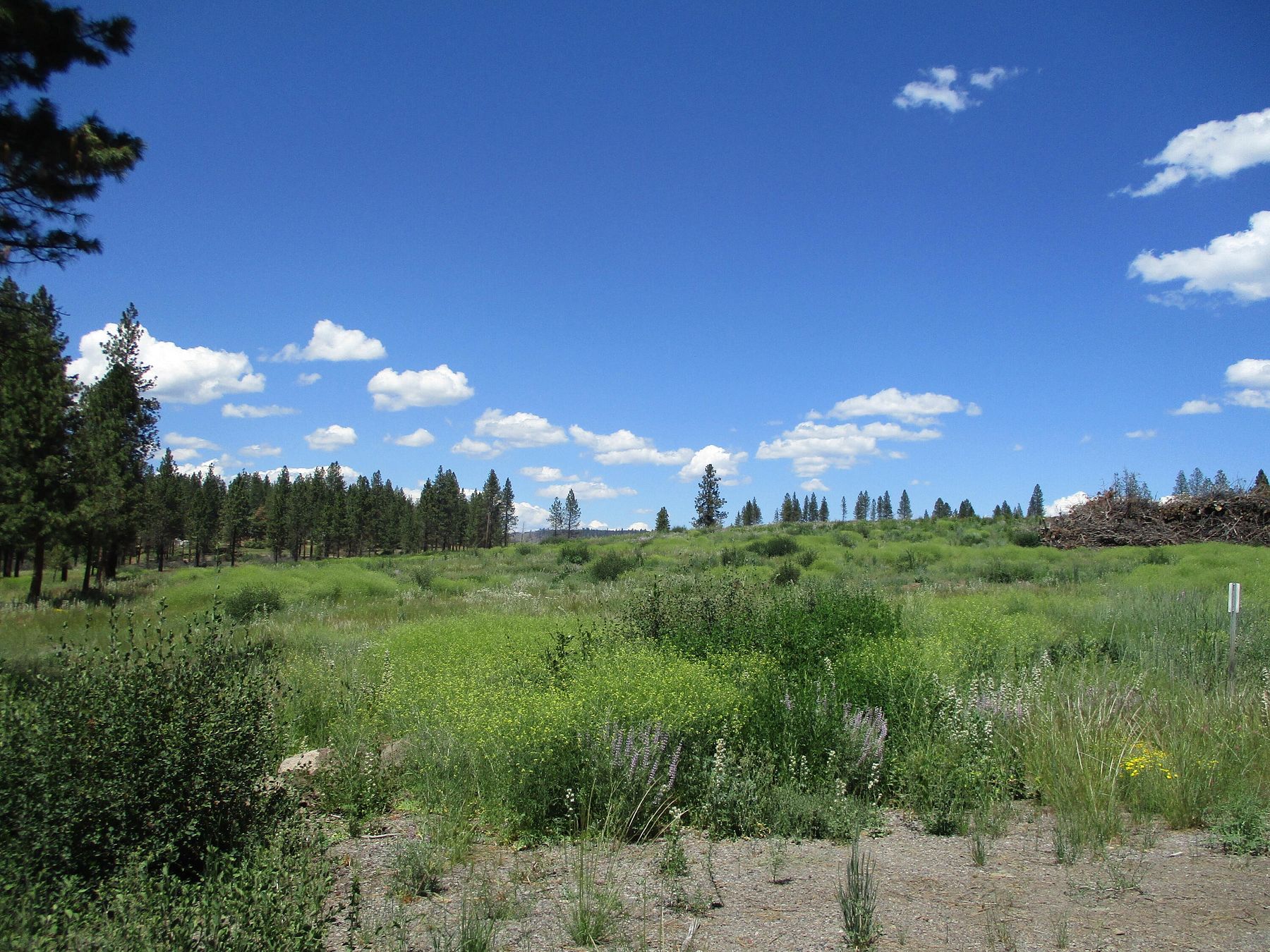 13.9 Acres of Recreational Land for Sale in Chiloquin, Oregon
