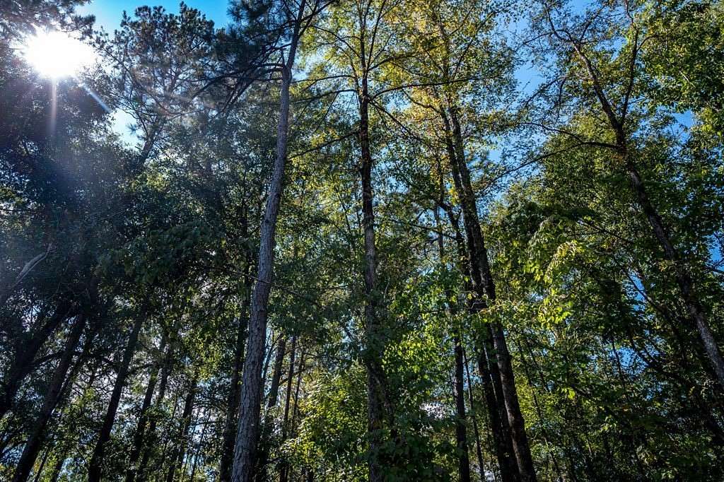 1 Acre of Residential Land for Sale in Columbus, Georgia