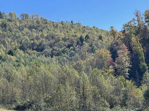35.6 Acres of Land for Sale in Laurel Bloomery, Tennessee