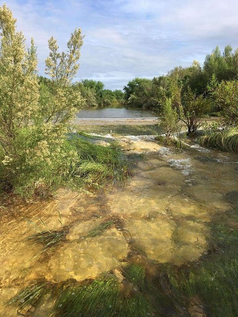 510 Acres of Improved Land for Sale in Del Rio, Texas