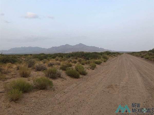 40 Acres of Recreational Land for Sale in Deming, New Mexico