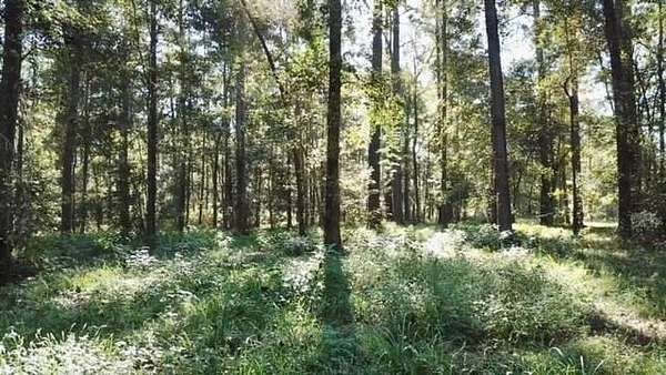 22.5 Acres of Recreational & Residential Land for Sale in Soso, Mississippi