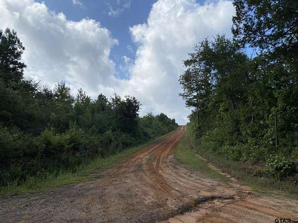 334 Acres of Land for Sale in Tatum, Texas