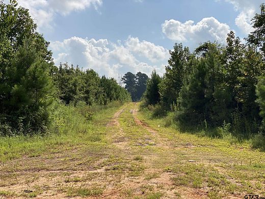 333.85 Acres of Land for Sale in Tatum, Texas - LandSearch