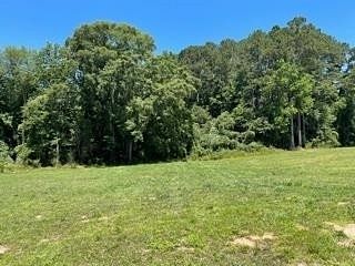 4.5 Acres of Commercial Land for Sale in Fayetteville, Georgia