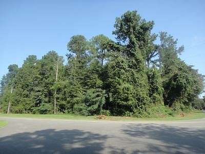 1.1 Acres of Residential Land for Sale in Eufaula, Alabama