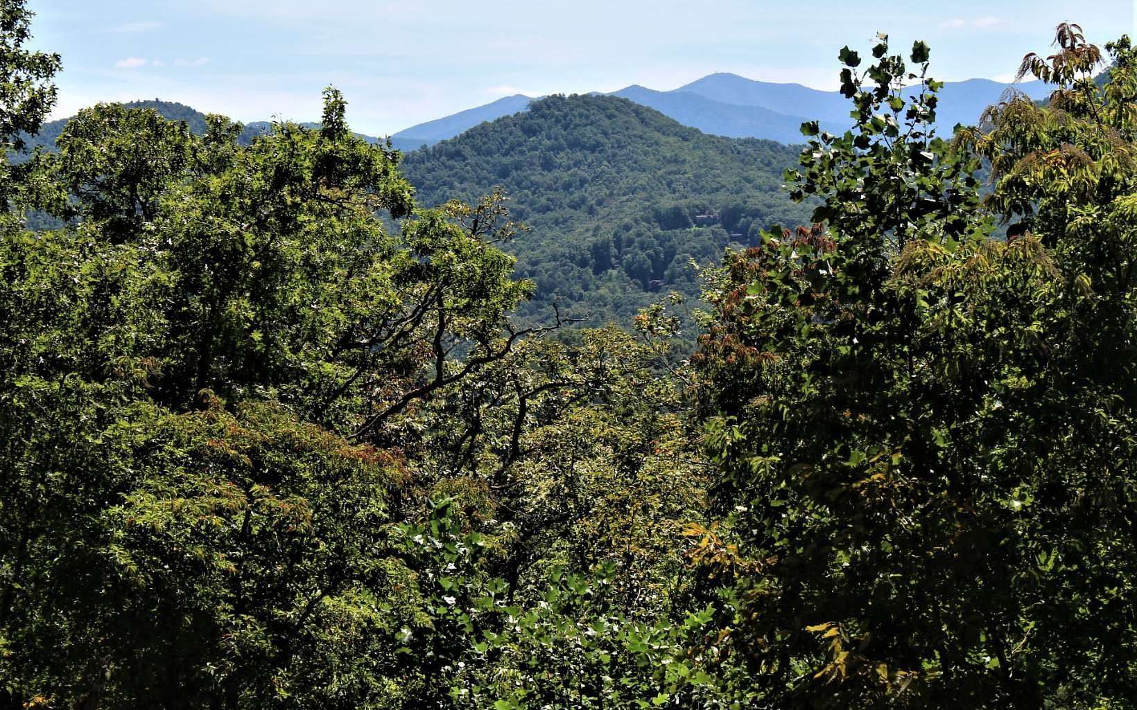 1 Acre of Residential Land for Sale in Hayesville, North Carolina