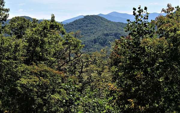 1 Acre of Residential Land for Sale in Hayesville, North Carolina
