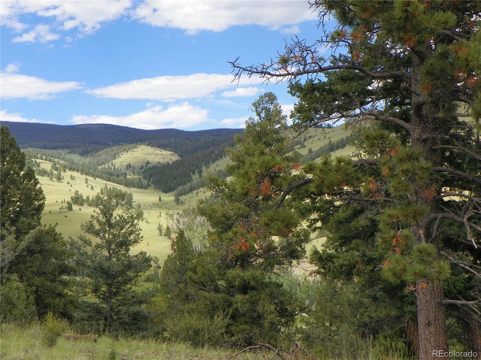 42.6 Acres of Recreational Land for Sale in Saguache, Colorado
